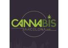 Cannabis Barcelona - Cannabis Barcelona