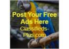 Post Your Ads get A Free 90 day Premium listing