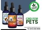 Premium CBD for Pets Health & Happiness!