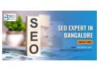 SEO Expert – Bangaloreseoexpert