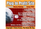 Earn Over $21,060 from Working at Home