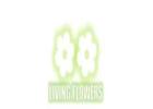 Fresh Flower Delivery Bundoora for Every Occasion