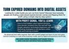 Turn Expired Domains Into Digital Assets