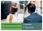 Pest Inspection Perth to Protect Your Property Investment