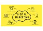 Real Estate Web Design And Development Company