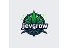 FREE Seeds with Every Order! Premium CBD Flowers & Grow Products