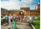 Book your tailored Vatican guided tour to unearth the stunning marvels of Rome