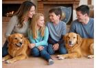 Find No Hidden Costs with House Cleaning Service in Adelaide
