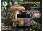 Premium Mushroom + CBD Gummies & Mushroom + Delta 9 THC Gummies
