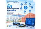 Iot Development 