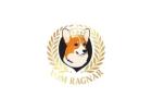 Home-Raised Pembroke Welsh Corgi Puppies for Illinois Families