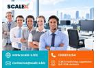 Flexible and Cost-Effective Remote Staffing Services in Brisbane